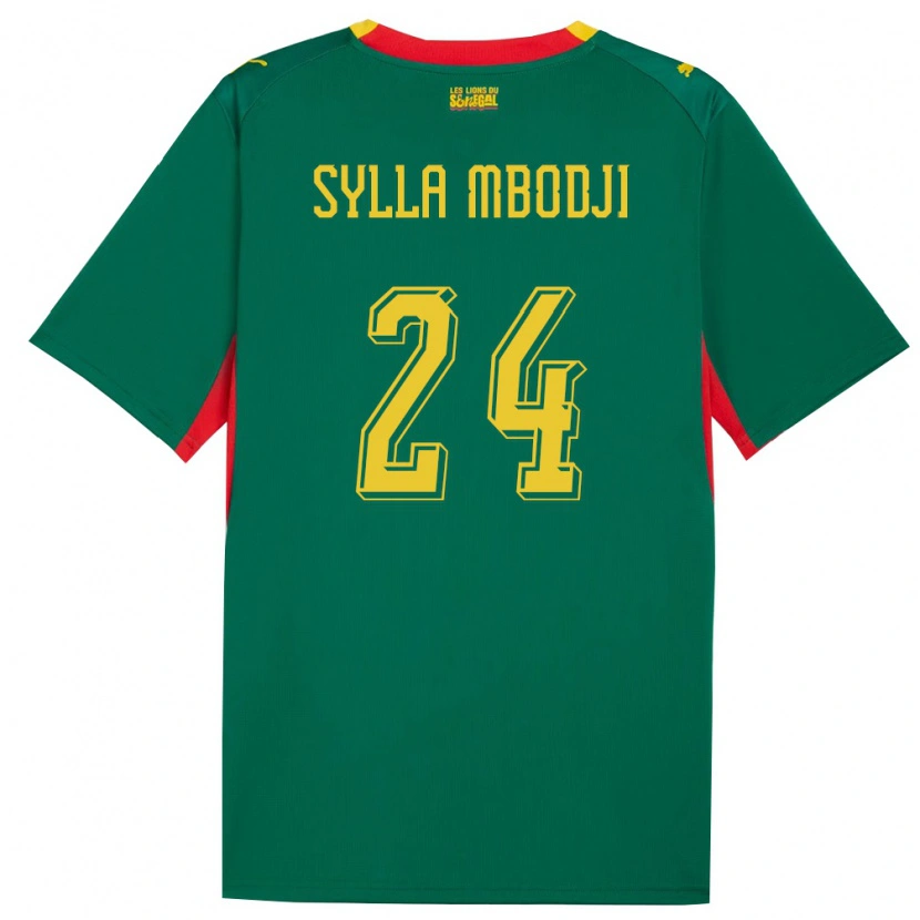 Danxen Women Senegal Coumba Sylla Mbodji #24 Green Yellow Red Away Jersey 26-28 T-Shirt