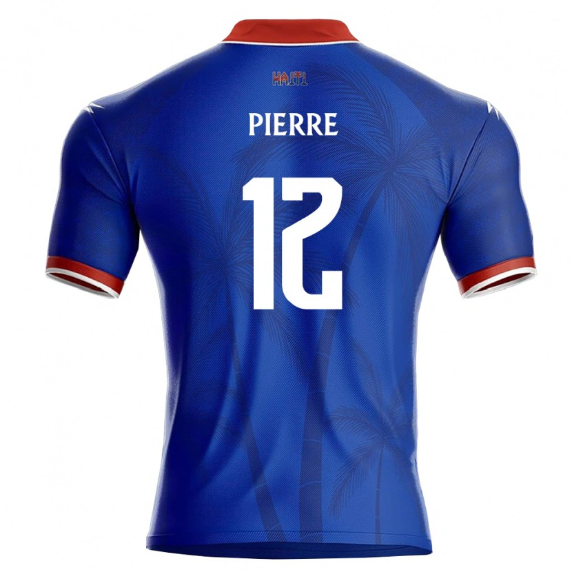 Danxen Kid Haiti Alexandre Pierre #12 Blue Red White Home Jersey 26-28 T-Shirt