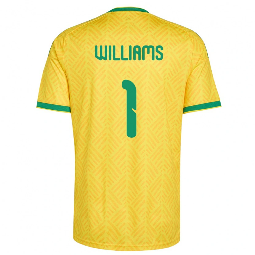 Danxen Kid South Africa Ronwen Williams #1 Yellow Green Home Jersey 26-28 T-Shirt