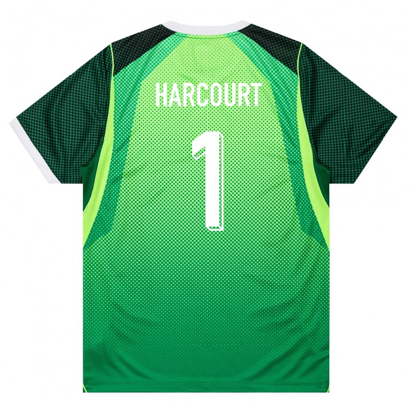 Danxen Kid Nigeria Ebenezar Harcourt #1 Green White Home Jersey 26-28 T-Shirt