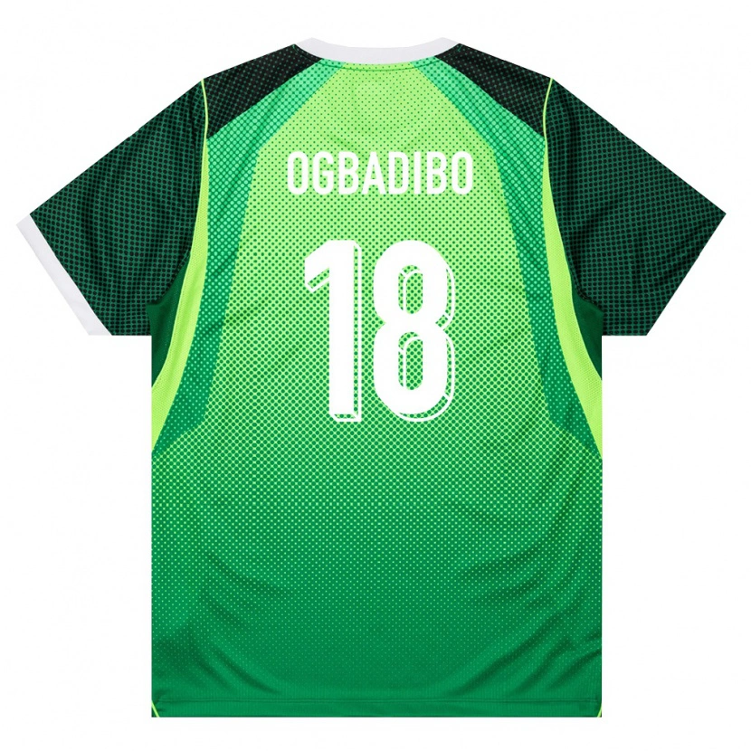 Danxen Kid Nigeria Tochukwu Ogbadibo #18 Green White Home Jersey 26-28 T-Shirt