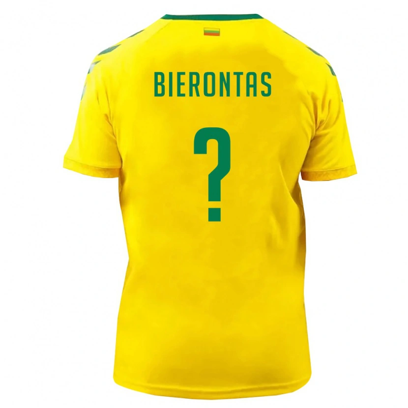 Danxen Kid Lithuania Edgaras Bierontas #0 Yellow Green Home Jersey 26-28 T-Shirt