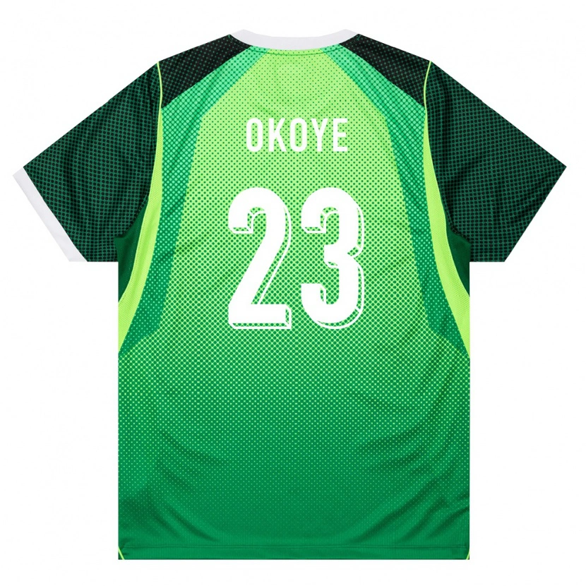 Danxen Men Nigeria Maduka Okoye #23 Green White Home Jersey 26-28 T-Shirt