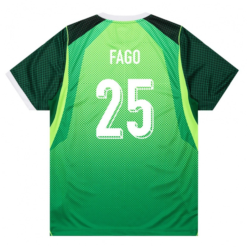 Danxen Men Nigeria Salim Fago Lawal #25 Green White Home Jersey 26-28 T-Shirt