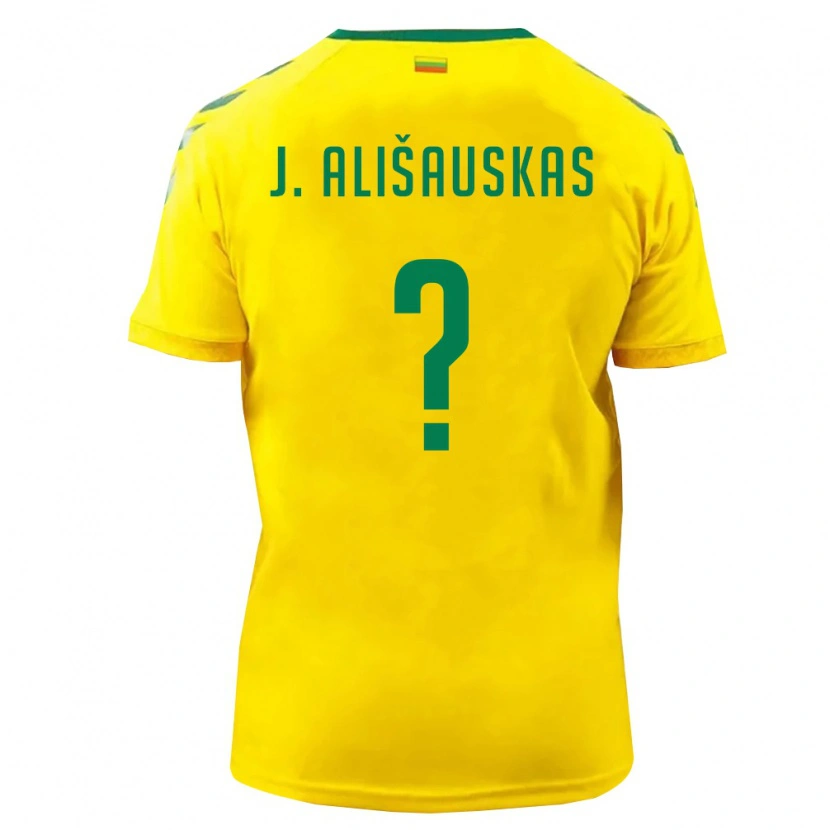 Danxen Men Lithuania Jordanas Ališauskas #0 Yellow Green Home Jersey 26-28 T-Shirt