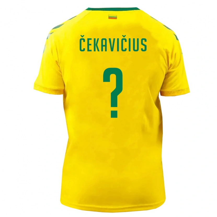 Danxen Men Lithuania Dominykas Čekavičius #0 Yellow Green Home Jersey 26-28 T-Shirt