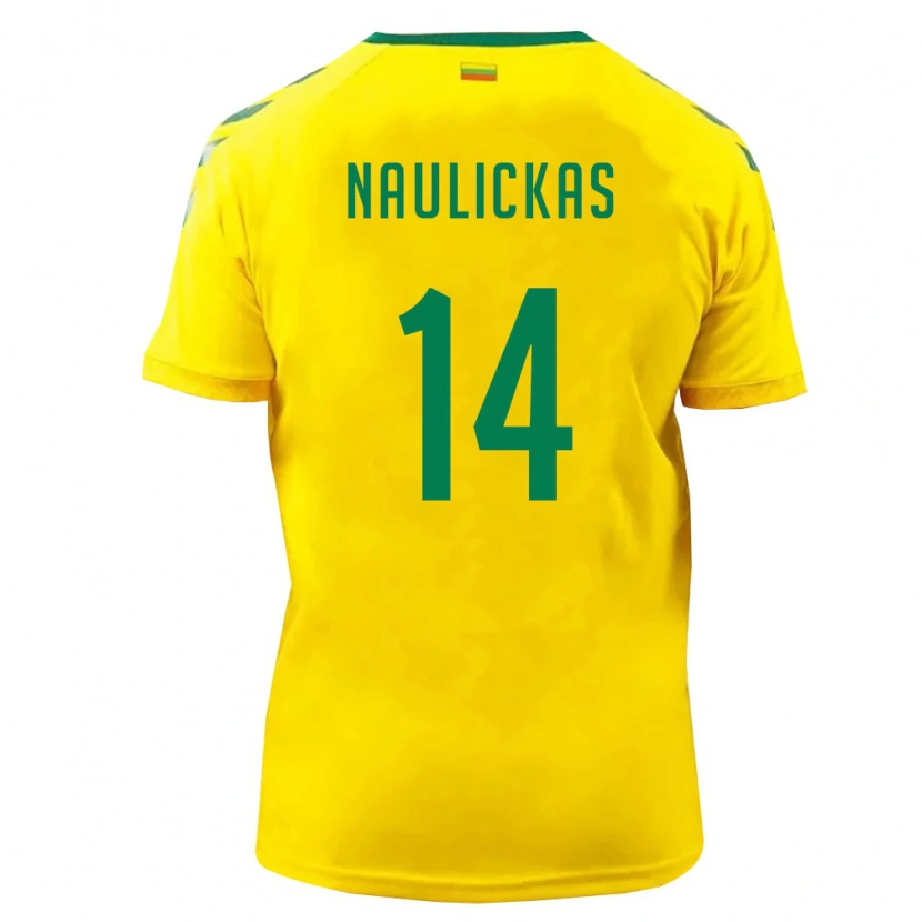 Danxen Men Lithuania Arnas Naulickas #14 Yellow Green Home Jersey 26-28 T-Shirt