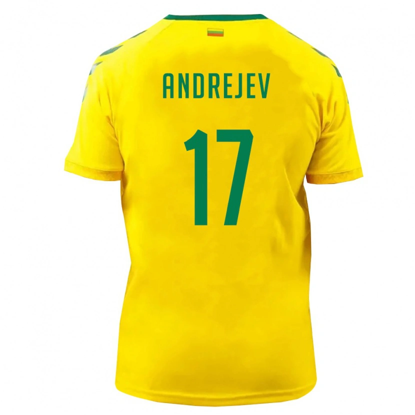 Danxen Men Lithuania Maksim Andrejev #17 Yellow Green Home Jersey 26-28 T-Shirt