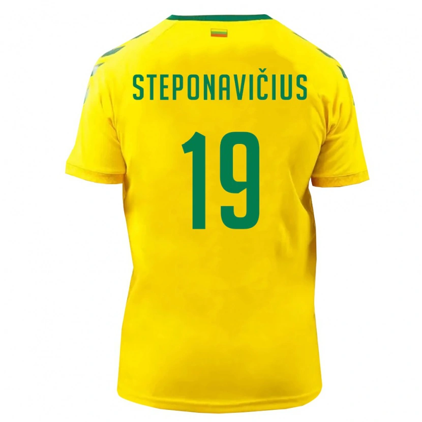 Danxen Men Lithuania Faustas Steponavičius #19 Yellow Green Home Jersey 26-28 T-Shirt