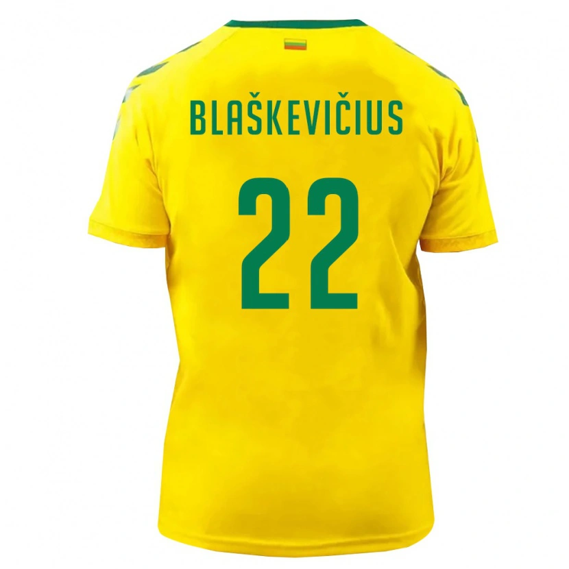Danxen Men Lithuania Nedas Blaškevičius #22 Yellow Green Home Jersey 26-28 T-Shirt