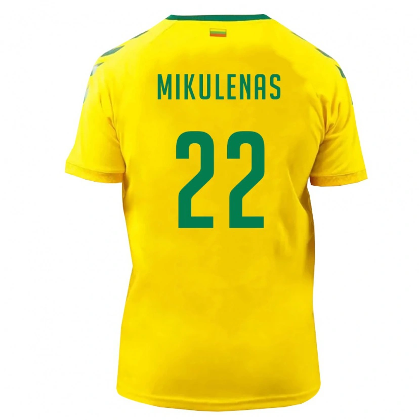 Danxen Men Lithuania Meinardas Mikulėnas #22 Yellow Green Home Jersey 26-28 T-Shirt