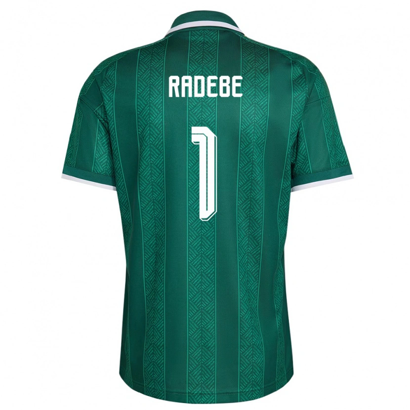 Danxen Men South Africa Lwandiso Radebe #1 Green White Gold Away Jersey 26-28 T-Shirt