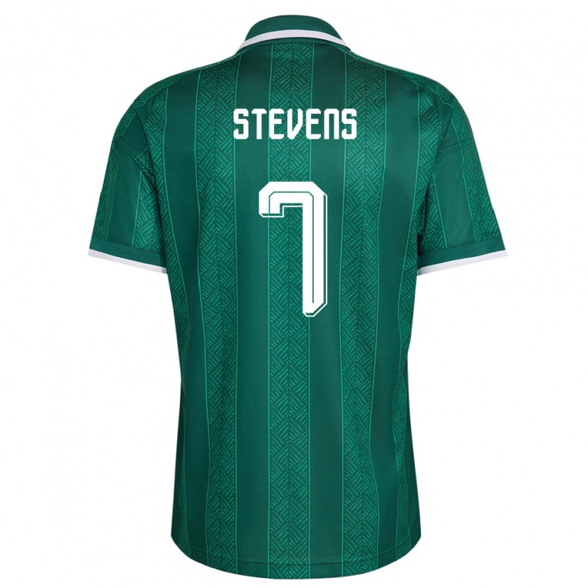 Danxen Men South Africa Selwyn Stevens #7 Green White Gold Away Jersey 26-28 T-Shirt