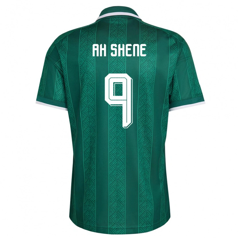 Danxen Men South Africa Jody Ah Shene #9 Green White Gold Away Jersey 26-28 T-Shirt