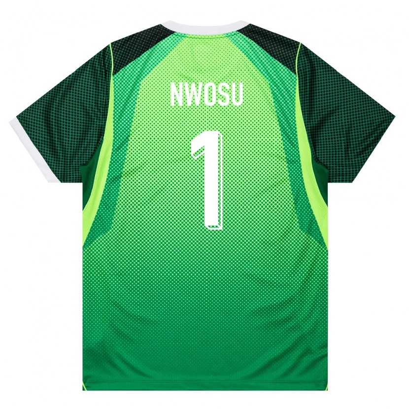 Danxen Women Nigeria Nathaniel Nwosu #1 Green White Home Jersey 26-28 T-Shirt