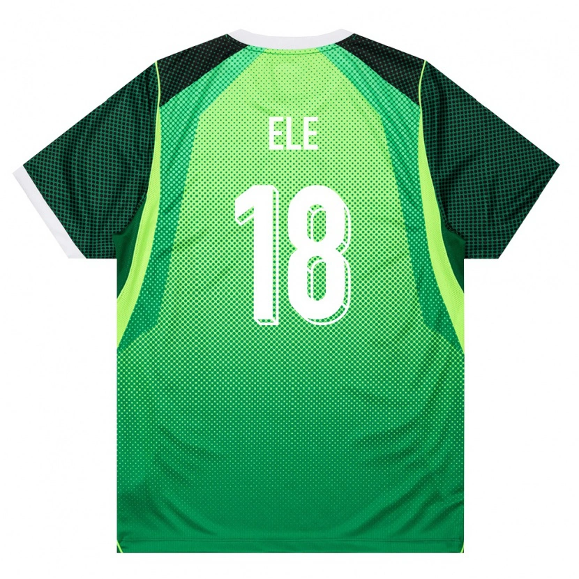 Danxen Women Nigeria Abdullahi Ele #18 Green White Home Jersey 26-28 T-Shirt