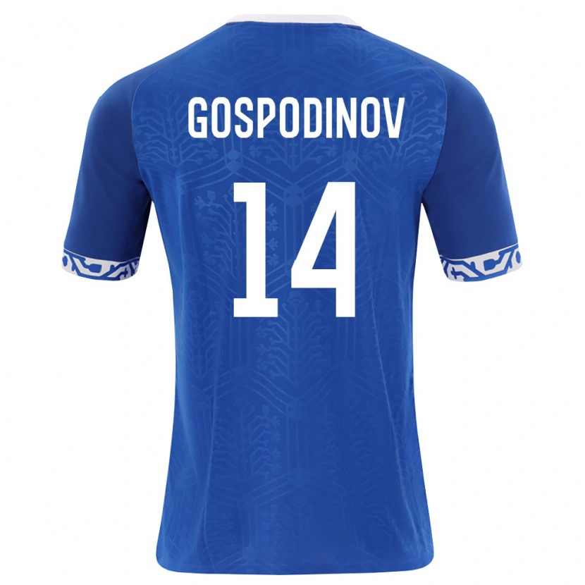 Danxen Women Moldova Petar Gospodinov #14 Royal Blue White Home Jersey 26-28 T-Shirt