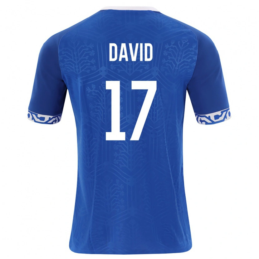 Danxen Women Moldova Ovidiu David #17 Royal Blue White Home Jersey 26-28 T-Shirt