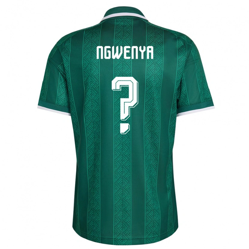 Danxen Women South Africa Siphamandla Ngwenya #0 Green White Gold Away Jersey 26-28 T-Shirt