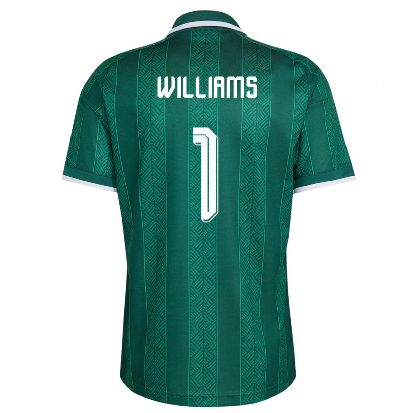 Danxen Women South Africa Ronwen Williams #1 Green White Gold Away Jersey 26-28 T-Shirt