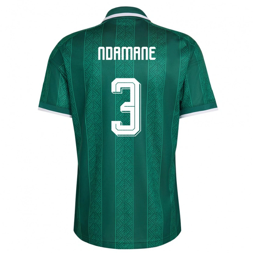 Danxen Women South Africa Khulumani Ndamane #3 Green White Gold Away Jersey 26-28 T-Shirt