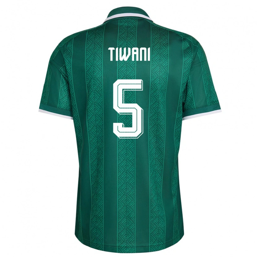 Danxen Women South Africa Asekho Tiwani #5 Green White Gold Away Jersey 26-28 T-Shirt