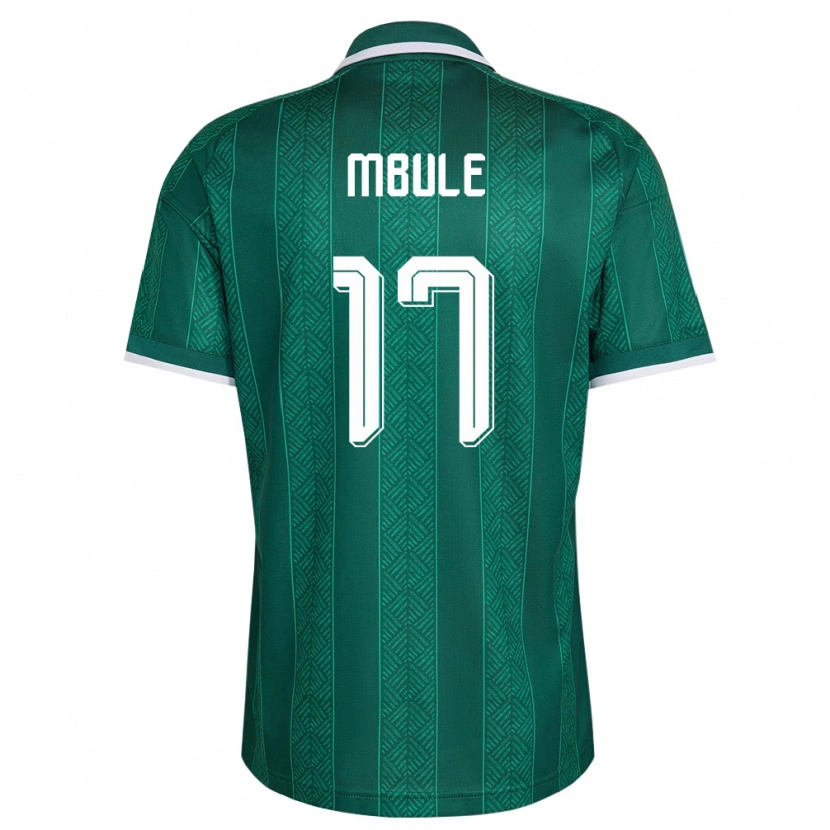 Danxen Women South Africa Sipho Mbule #17 Green White Gold Away Jersey 26-28 T-Shirt