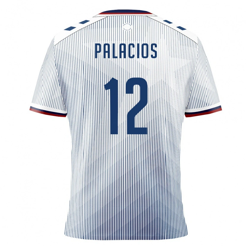 Danxen Women Puerto Rico Denzel Palacios #12 Royal Blue White Away Jersey 26-28 T-Shirt