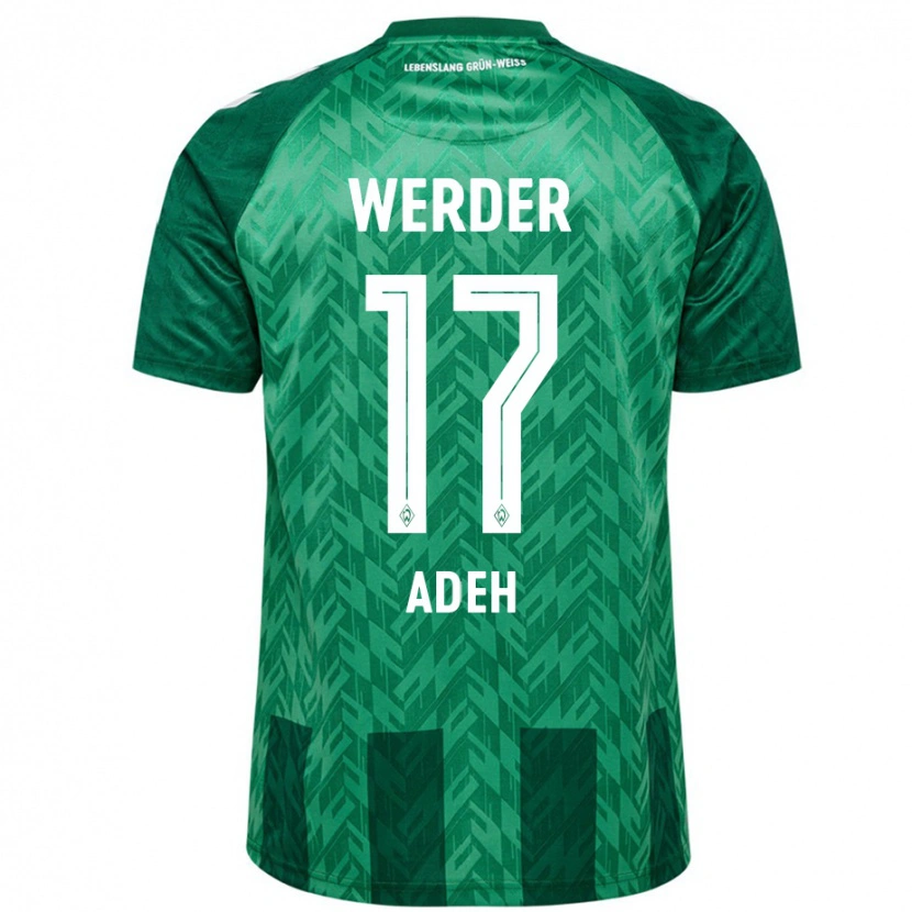 Danxen Kid Bob-Ignatius Adeh #17 Green Home Jersey 2024/25 T-Shirt