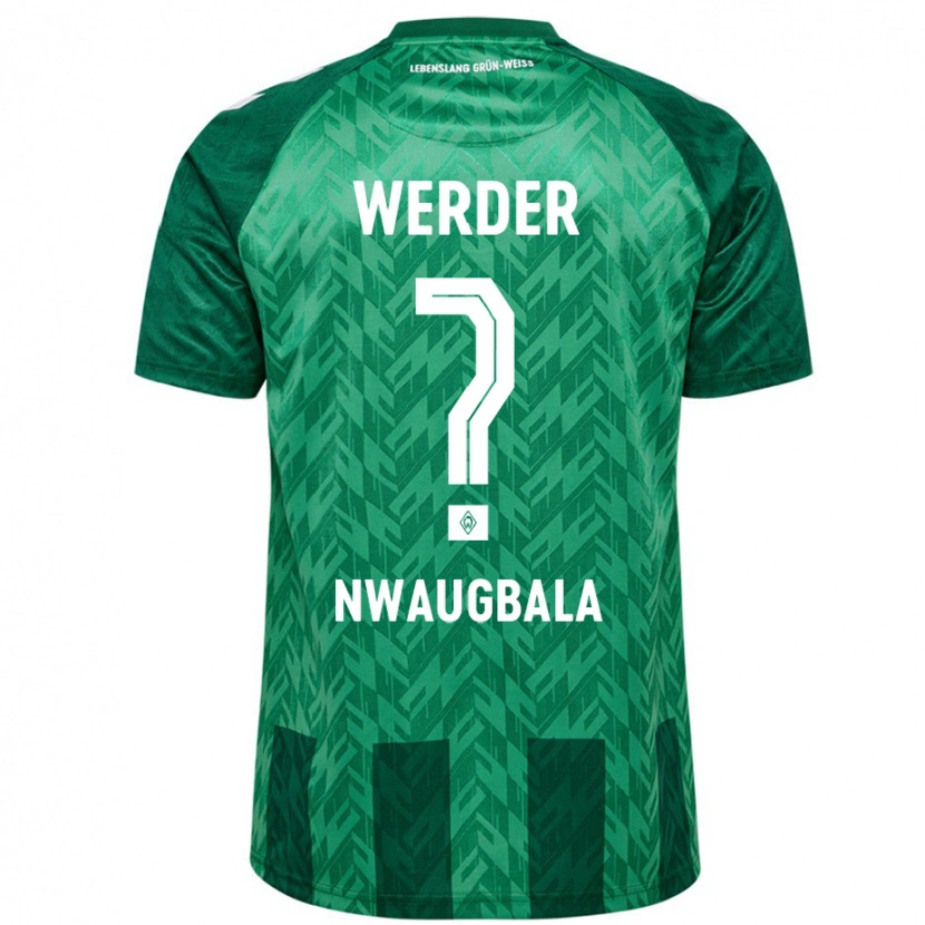 Danxen Men Kevin Nwaugbala #0 Green Home Jersey 2024/25 T-Shirt